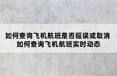 如何查询飞机航班是否延误或取消 如何查询飞机航班实时动态